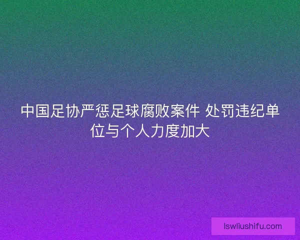 中国足协严惩足球腐败案件 处罚违纪单位与个人力度加大