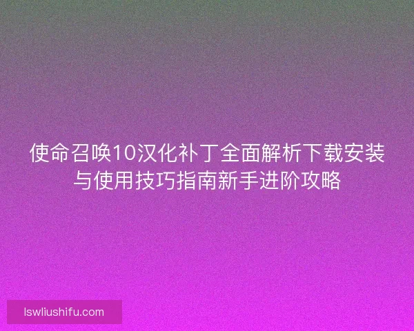 使命召唤10汉化补丁全面解析下载安装与使用技巧指南新手进阶攻略